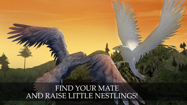 Wild Life: Flying Crow Bird Simulator(圖3)-速報App