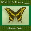 Butterflies of the World - A Butterfly App