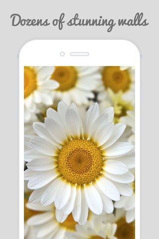 HD Flower Wallz - Flowers for Home & Lock Screens screenshot 2