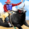 BULL RIDING MADNESS - 3D RACING GAME