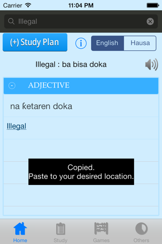 Hausa Dictionary - náhled