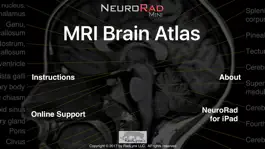 Game screenshot NeuroRad Mini mod apk