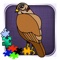 Animals Bird - Hawk Toddlers Kids Games Free