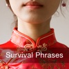 Survival Phrases Chinese for iPad