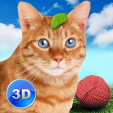 Activities of Cat Simulator: Cute Pet 3D