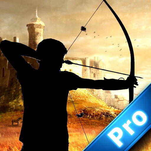 Archer Of Good Aim PRO icon