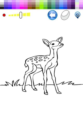 Coloring Book Drawing Deer  for kids games screenshot 2