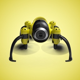 FlightForce Zoom Bee Drone by Brookstone Innovation