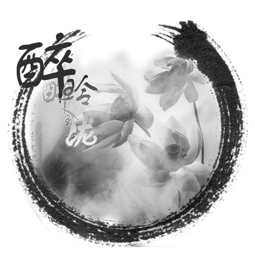 醉玲珑—古风穿越小说精选 icon