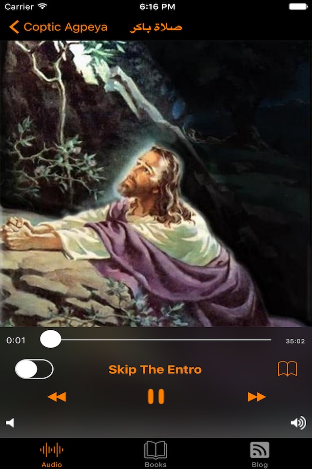 Coptic Agpeya Arabic Audio & Text screenshot 3