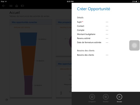 Microsoft Dynamics 365 for BlackBerry screenshot 4