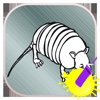 Coloring Book For Kid Armadillo
