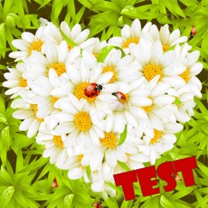 Activities of Test of Love flower
