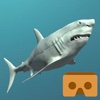 VR Shark Simulator
