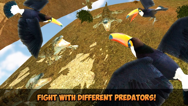 Toucan Simulator 3D: Bird Life(圖2)-速報App