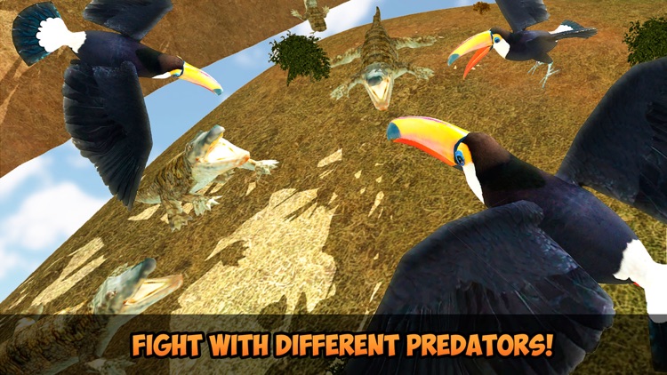 Toucan Simulator 3D: Bird Life