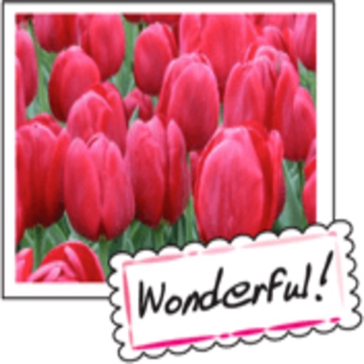 Beautiful Tulips stickers by wenpei
