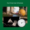 Gym exercise schedule