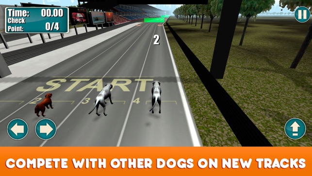 Greyhound Dog Racing Tournament(圖2)-速報App