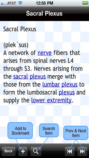 Anatomical Glossary(圖5)-速報App