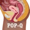 The Interactive Pelvic Organ Prolapse Quantification (POP-Q) System Program is an innovative new educational resource designed to aid physicians in pelvic floor patient education