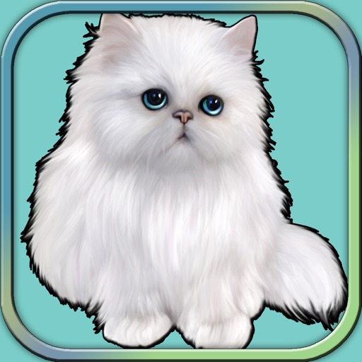 Adorable Puss the Kitten Run -Simulation game 2017 Icon