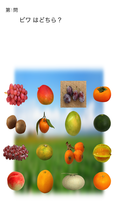 Fruits Quiz Touch クイズで楽しく世界中の果物を学ぼう！！のおすすめ画像1