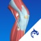 Knee Decide is a powerful educational tool