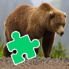 Kids Learn Games Page Bear Jigsaw Puzzle