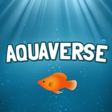Activities of Aquaverse