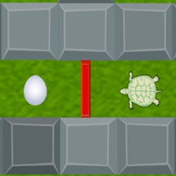 The Turtle's Challenge