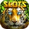 Lucky Asian Tiger Slots: New Slot Machines For Fun