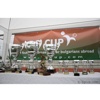 BG CUP