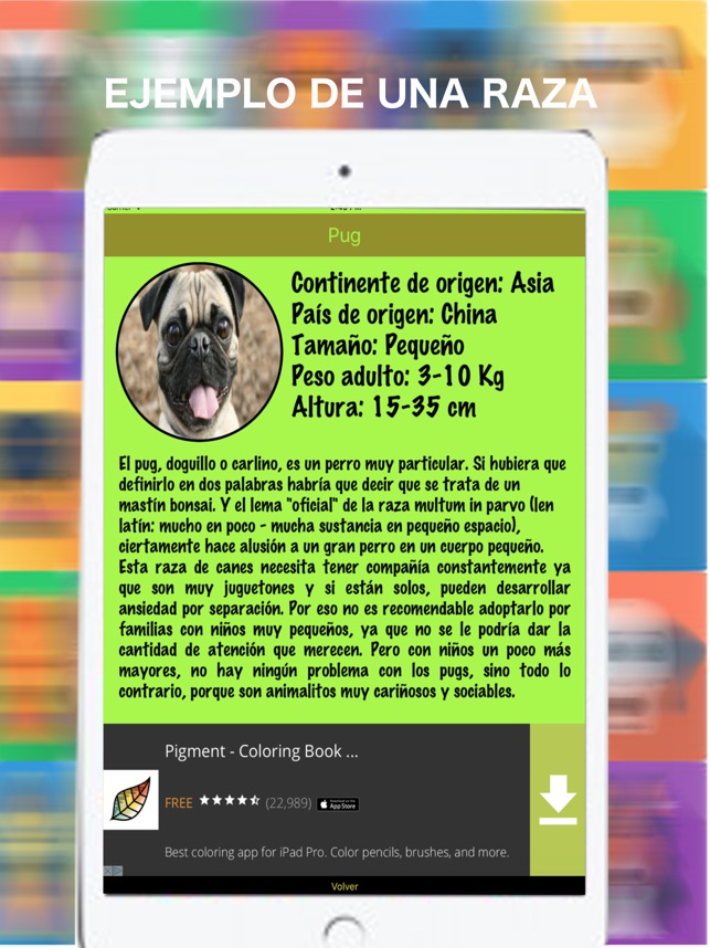 Dog Breed(圖2)-速報App