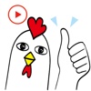 Chicken Animated Funny