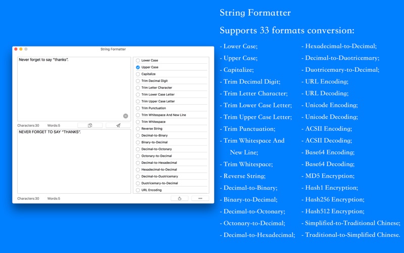 String Formatter - Supports 33 formats conversion thumbnail 1