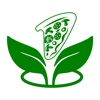 Evergreen Pizza