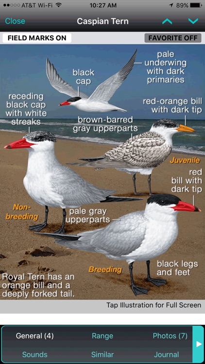 iBird Canada Guide to Birds