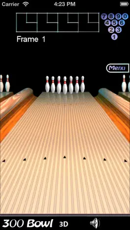 Game screenshot 300 Bowl Universal mod apk