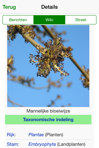 Bomenspotter Alphen aan den Rijn screenshot 4
