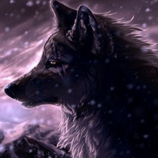 Activities of Deadly Wolf Simulator - Ultimate Wild Hunter