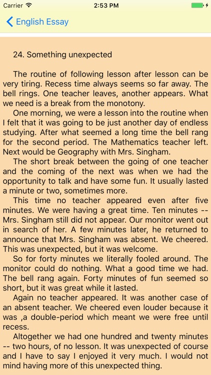 English Essay screenshot-4