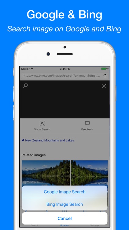 Reverse Image Search