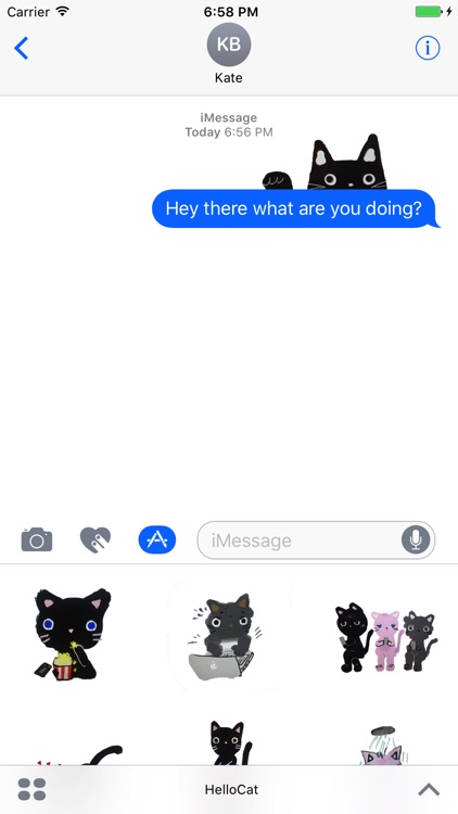Hello Cat