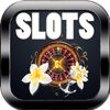 Slots Paradise !!