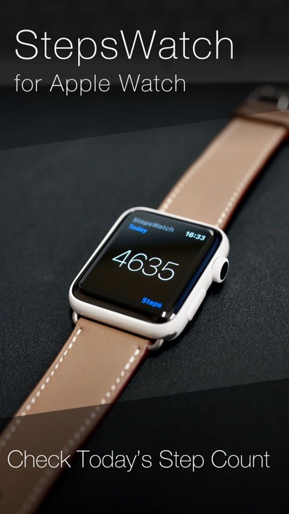 StepsWatch - Today's Step Count for Watch