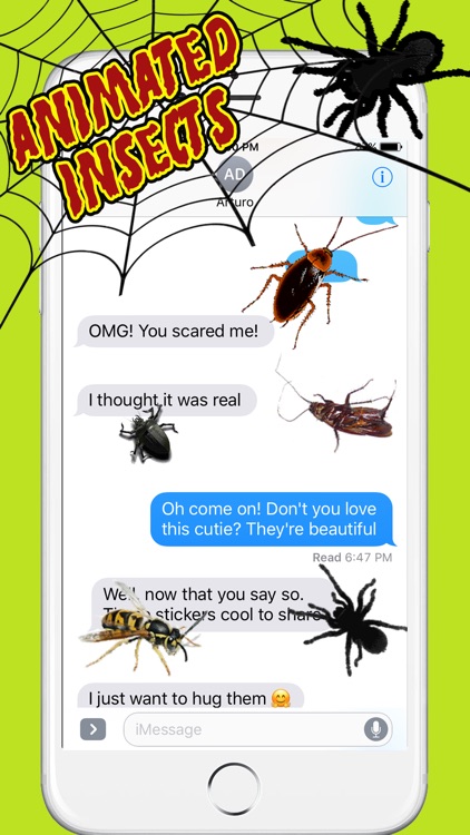 Animated Insects