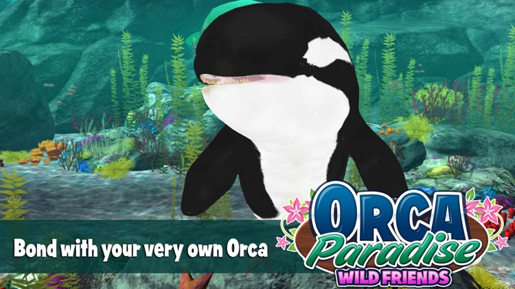 Orca Paradise - All Access