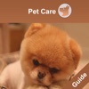 Pet Training & Care Guide