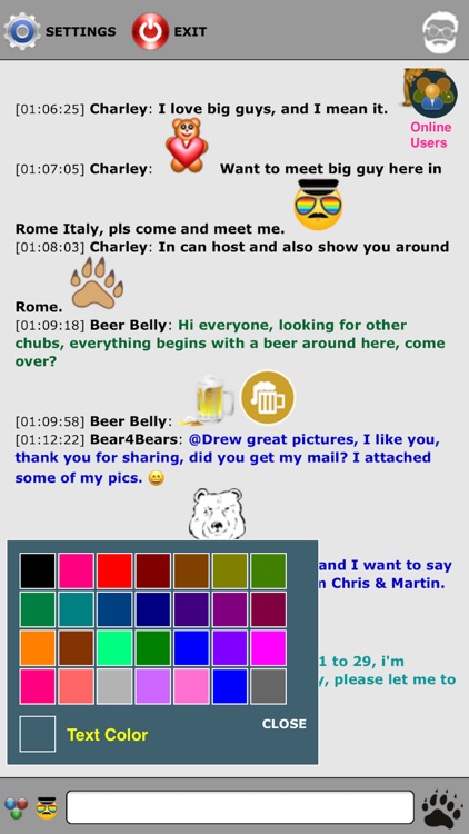 Bear Chat - Gay bears dating app.